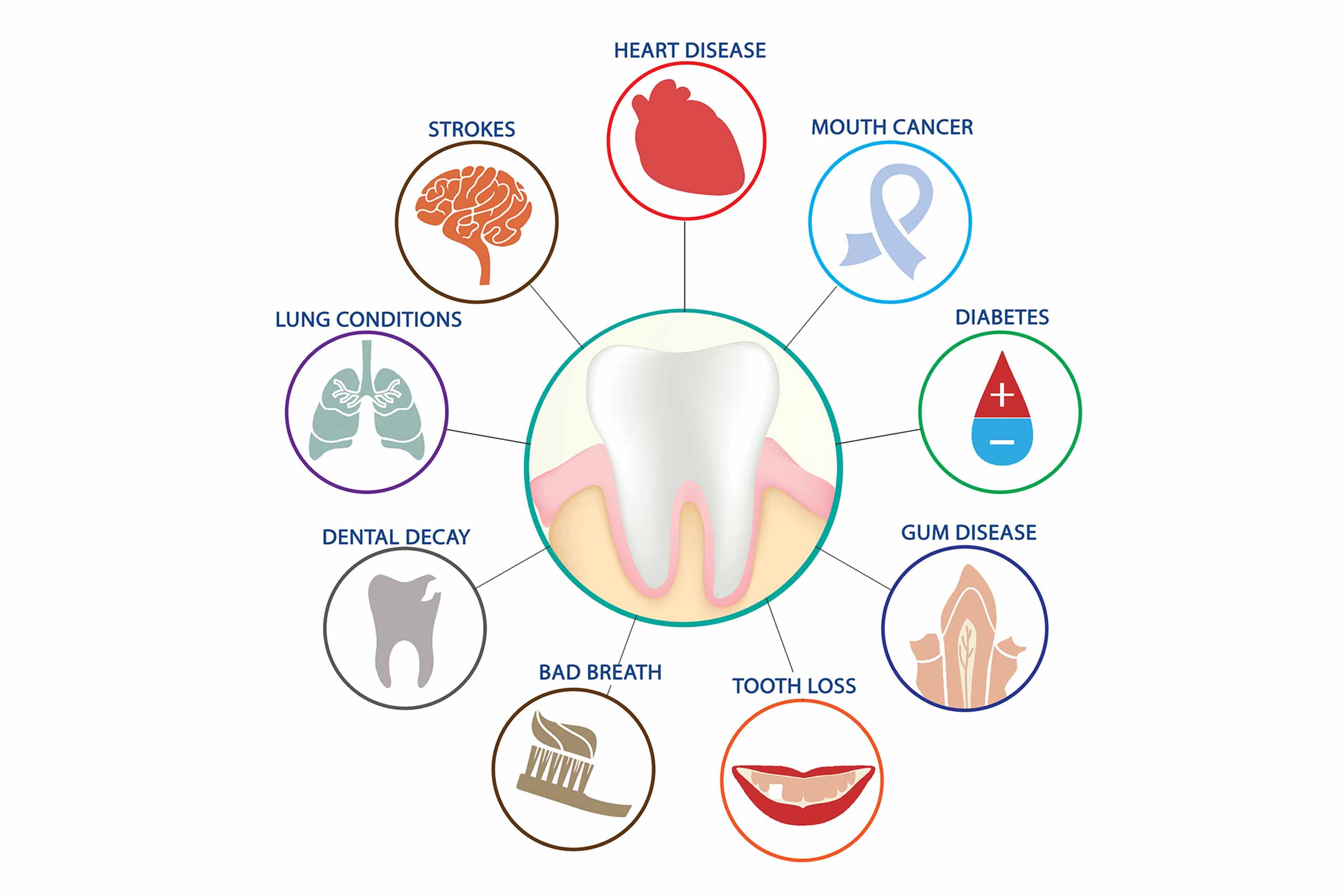 The Connection Between Periodontal Health and Overall Wellness