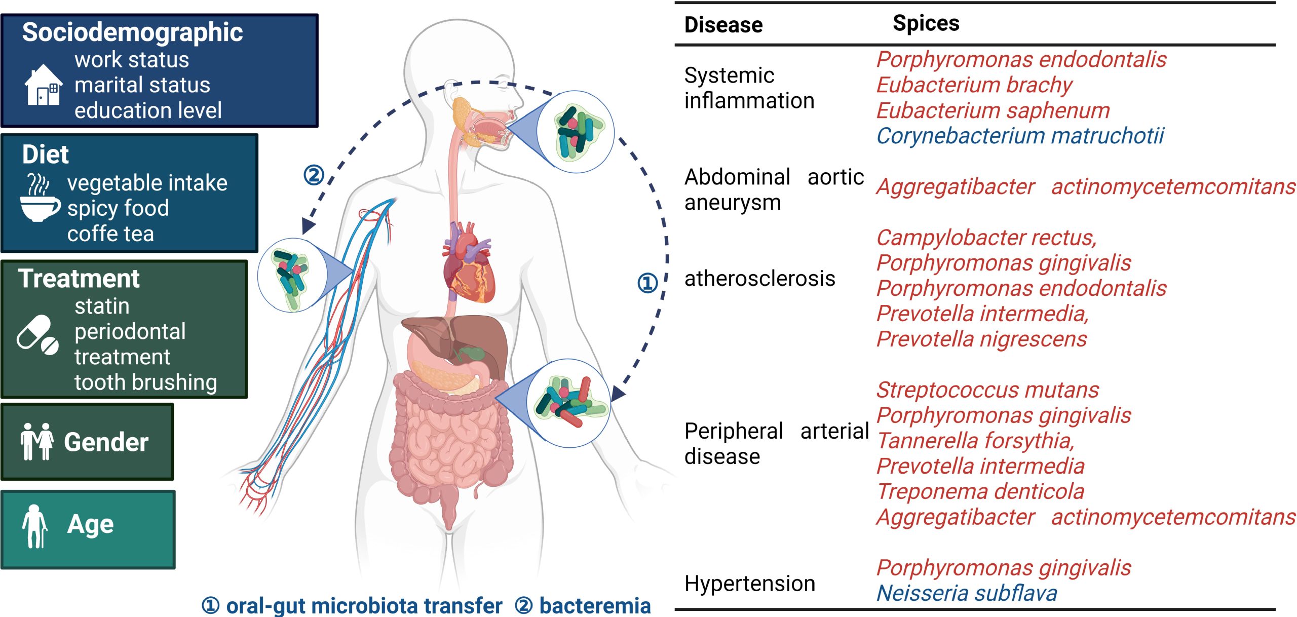 Emerging Trends in Oral Microbiome Research: Implications for Dental Care
