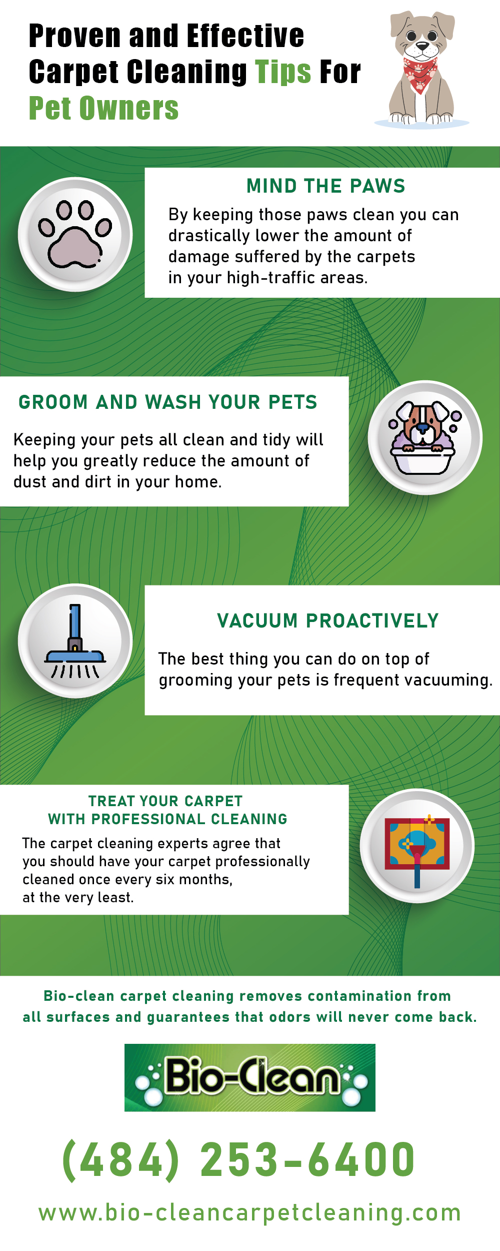 Pet Owners’ Guide to Keeping Carpets Clean and Odor-Free