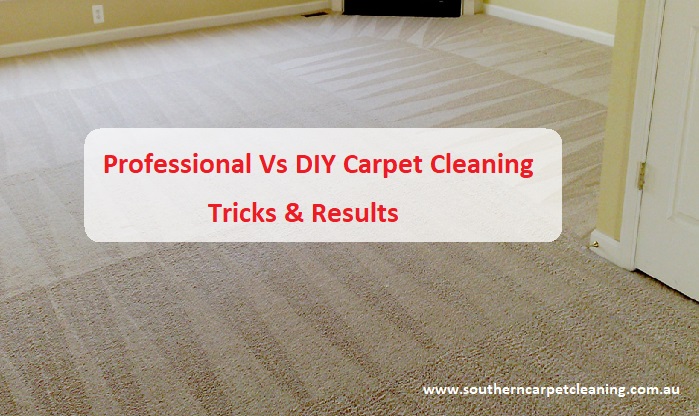 Professional vs. DIY Carpet Cleaning: Which Is the Better Option?