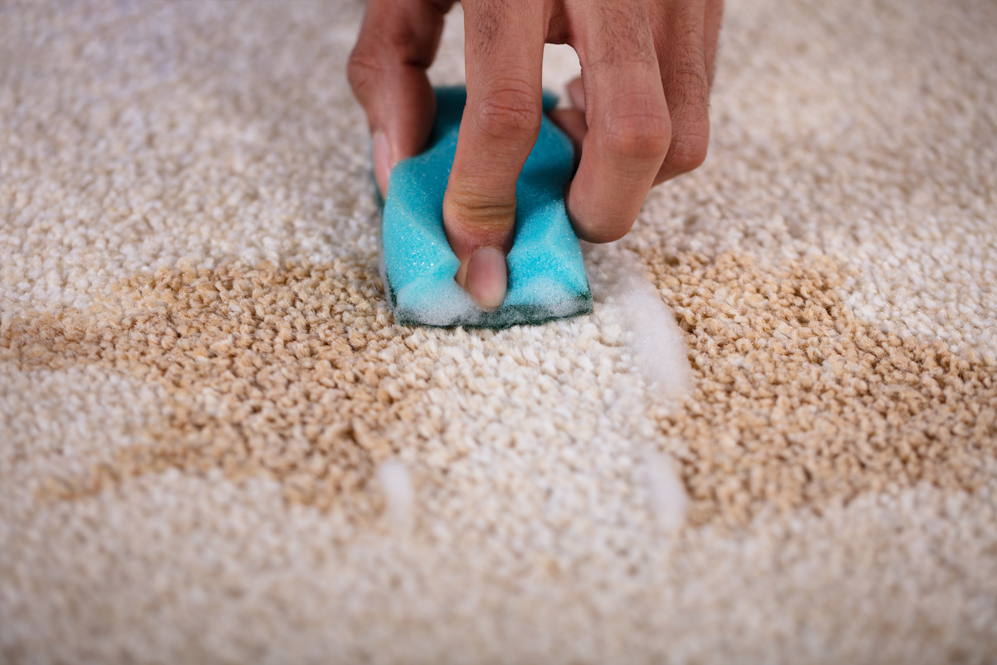 The Ultimate Guide to Removing Stubborn Carpet Stains
